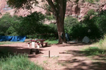 Jaycee Park Campground