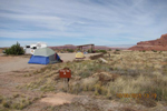 Lone Mesa Group Sites