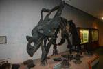 Eastern Utah Prehistoric Museum