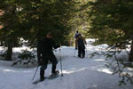 Snowshoeing the Days Fork Trail