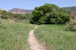 The Hog Canyon Hiking Trail - Dinosaur National Monument