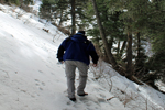 Mill B North Fork Trail Winter Hike - Big Cottonwood Canyon