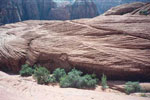 Hiking Snow Canyon
