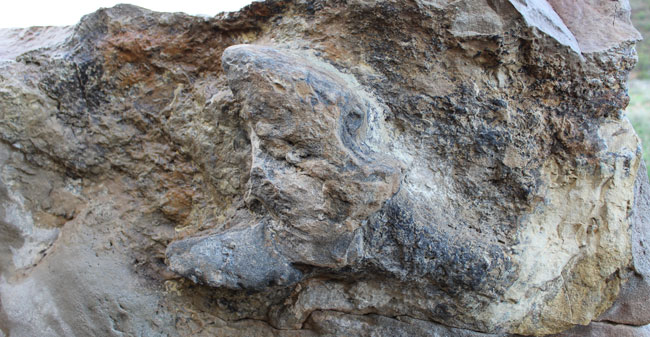 Parowan Gap Petroglyphs