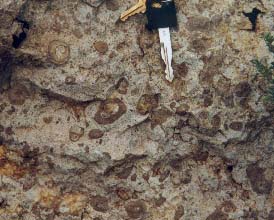 Birdseye Marble