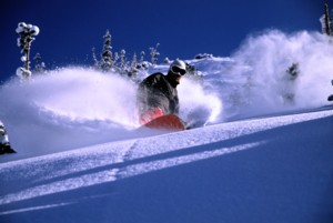 Snowbird Ski And Summer Resort