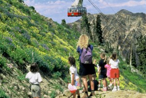 Snowbird Ski And Summer Resort
