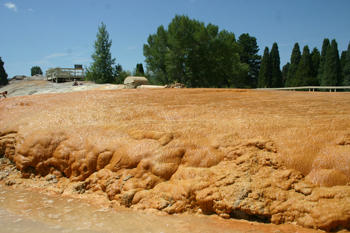 Soda Springs Geyser