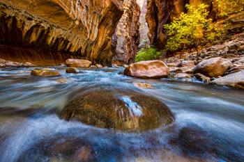Zion National Park