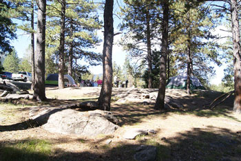 Pine Valley Recreation Area - Dixie National Forest