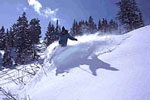 Powder Mountain Ski Resort