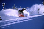 Snowbird Ski And Summer Resort