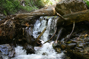 Adams Canyon Waterfall