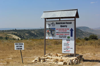 American Fossil Dig Site