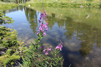 Bloomington Lake