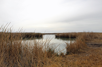 Blue Lake Wildlife Management Area