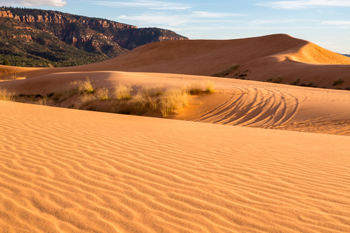 Coral Pink Sand Dunes State Park