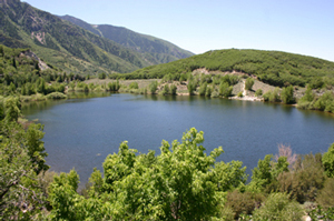Lower Bells Reservoir