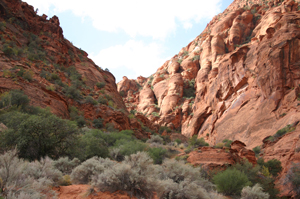 Red Reef Trail - Red Cliffs Recreation Area