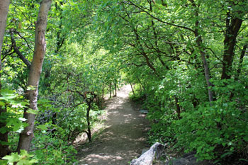 Ferguson Canyon Trail to the Overlook
