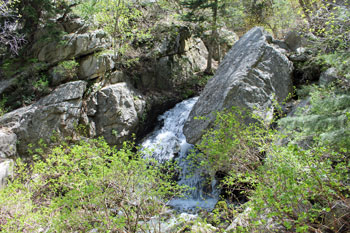Ferguson Canyon Trail to the Overlook