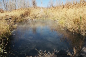 Inlet Park Hot Springs