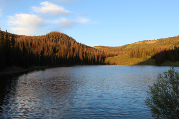 Mill Hollow Reservoir Utah