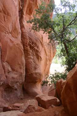 Red Ledges Picnic Area