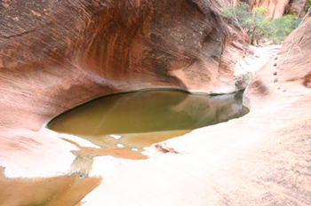 Red Reef Trail - Red Cliffs Recreation Area
