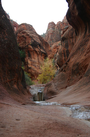 Red Reef Trail - Red Cliffs Recreation Area