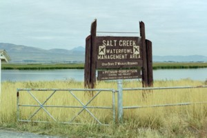Salt Creek Waterfowl Management Area