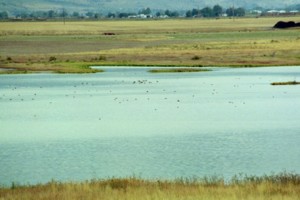 Salt Creek Waterfowl Management Area