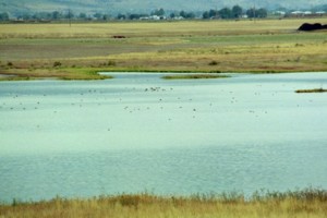 Salt Creek Waterfowl Management Area