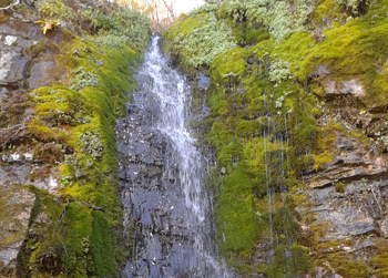 Timpooneke Trail to Scout Falls