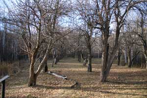 Wasatch Mountain State Park