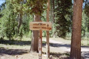 Little Bear ATV Trail | Logan Canyon