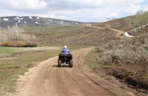 Willard Peak Road