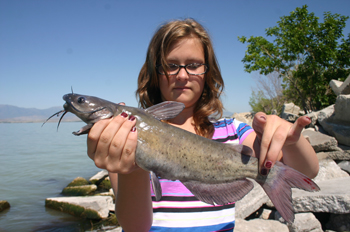 Catfishing Utah Lake