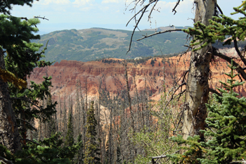 Alpine Pond Trail Cedar Breaks