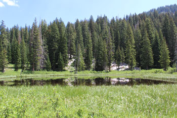 Brighton Lakes Trail - Big Cottonwood Canyon