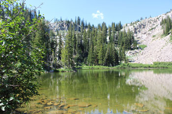 Brighton Lakes Trail - Big Cottonwood Canyon