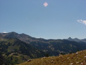 Cardiff Pass Trail - Little Cottonwood Canyon