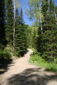 Hidden Falls - Big Cottonwood Canyon