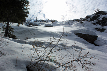 Mill B North Fork Trail
