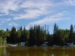 Mill D North Trail - Big Cottonwood Canyon