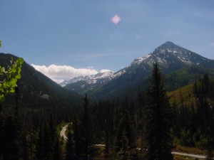 Mill D North Trail - Big Cottonwood Canyon