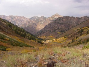 Mineral Fork Hiking Trail - Big Cottonwood Canyon