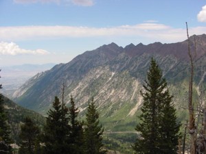 The Peruvian Gulch Trail