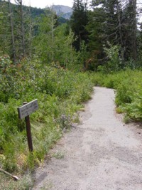 Red Pine Lake Hiking Trail
