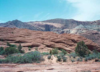 Snow Canyon State Park